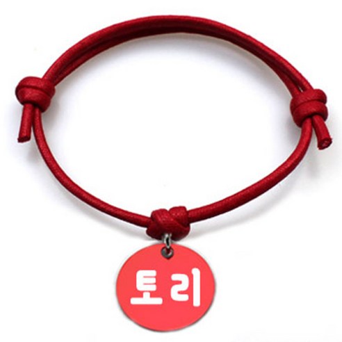 펫츠룩 굿모닝 레드 반려동물 목걸이 M + 알미늄 원형 팬던트 S, 레드(토리), 1개