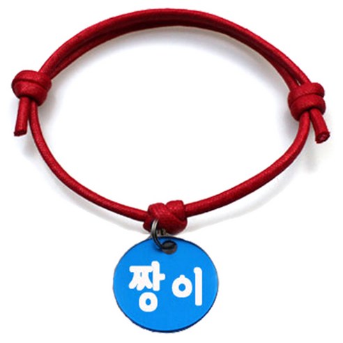 펫츠룩 굿모닝 레드 반려동물 목걸이 M + 알미늄원형 팬던트 S, 블루(짱이), 1개