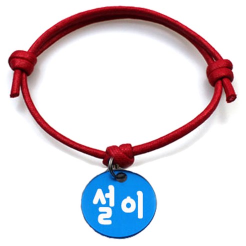 펫츠룩 굿모닝 레드 반려동물 목걸이 M + 알미늄원형 팬던트 S, 블루(설이), 1개