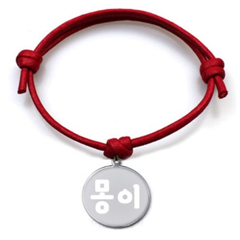 펫츠룩 굿모닝 레드 반려동물 목걸이 M + 메탈원형 팬던트 M, 실버(몽이), 1개