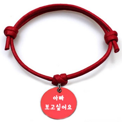 펫츠룩 굿모닝 레드 반려동물 목걸이 M + 알미늄원형 팬던트 M, 레드(아빠보고싶어요), 1개