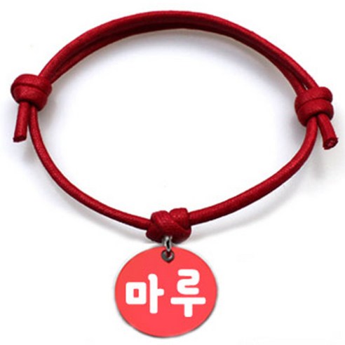 펫츠룩 굿모닝 레드 반려동물 목걸이 M + 알미늄원형 팬던트 M, 레드(마루), 1개