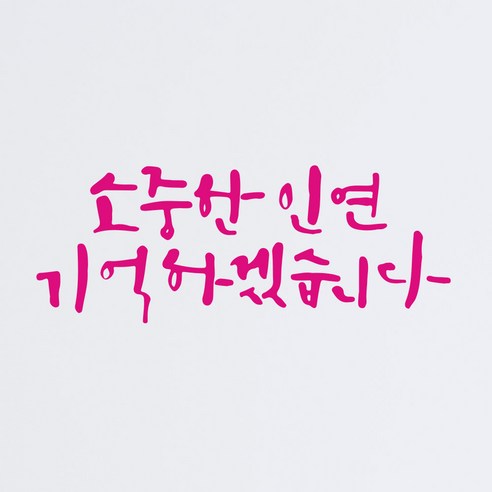 1AM 캘리그라피 인테리어 포인트 스티커 소중한 인연, 분홍