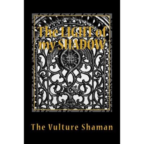 The Light of My Shadow: Shamanic Occult Invasion Lives - But It Is Not What You Think It Is Paperback, Createspace