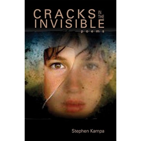 Cracks in the Invisible Paperback, Ohio University Press