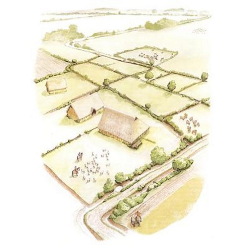The Rural Settlement of Roman Britain: New Visions of the Countryside ...