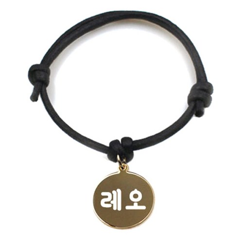 펫츠룩 굿모닝 블랙 반려동물 목걸이 M + 메탈원형 팬던트 S, 골드(레오), 1개