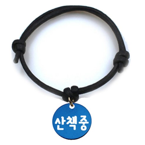펫츠룩 굿모닝 블랙 반려동물 목걸이 M + 알미늄 원형 팬던트 S, 블루(산책중), 1개