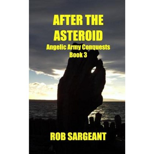 After the Asteroid Paperback, Blurb