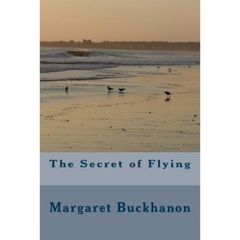 The Secret of Flying Paperback, Createspace Independent Publishing Platform