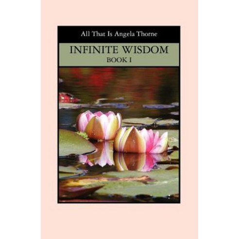 Infinite Wisdom Book I: Divine Messages from All That Is Paperback ...