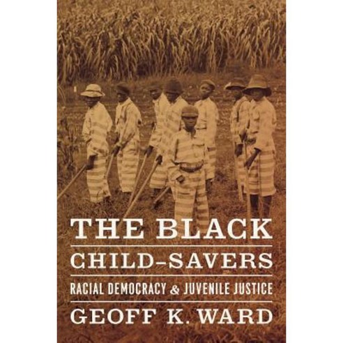 The Black Child-Savers: Racial Democracy and Juvenile Justice Paperback, University of Chicago Press