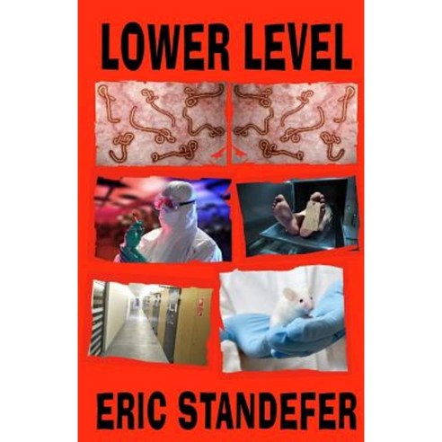 Lower Level Paperback, Createspace Independent Publishing Platform
