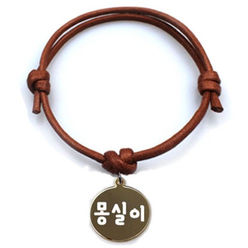 펫츠룩 굿모닝 카라멜 반려동물 목걸이 M + 메탈원형 팬던트 S, 골드(몽실이), 1개