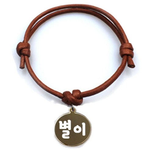 펫츠룩 굿모닝 카라멜 반려동물 목걸이 M + 메탈원형 팬던트 S, 골드(별이), 1개