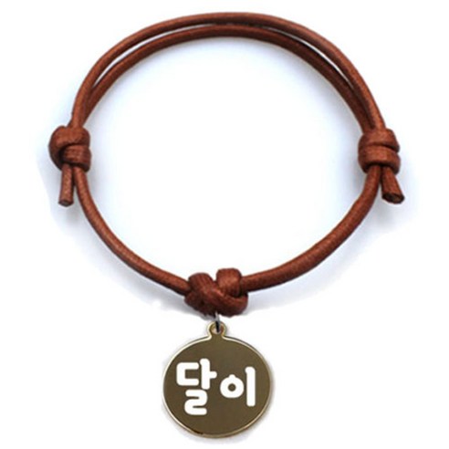 펫츠룩 굿모닝 카라멜 반려동물 목걸이 M + 메탈원형 팬던트 S, 골드(달이), 1개