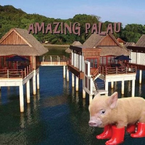 Amazing Palau Paperback, Createspace Independent Publishing Platform