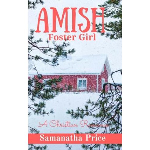 Amish Foster Girl Paperback, Createspace Independent Publishing Platform