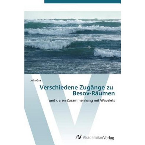 Verschiedene Zugange Zu Besov-Raumen Paperback, AV Akademikerverlag