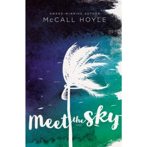 Meet the Sky Hardcover, Blink