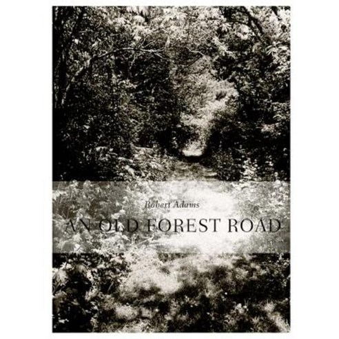 Robert Adams: An Old Forest Road Hardcover, Walther Konig Verlag