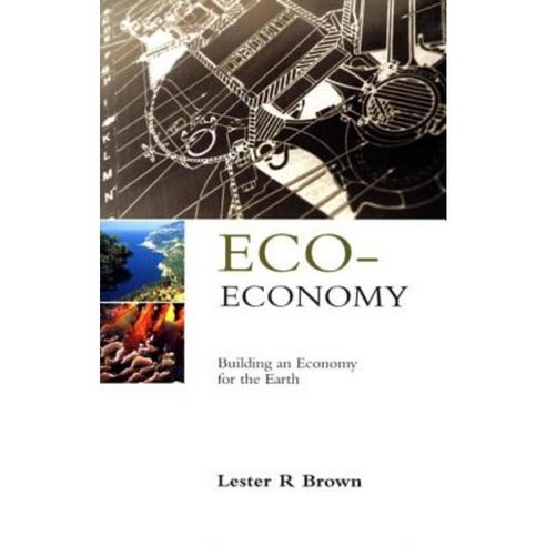 Eco-Economy: Building an Economy for the Earth Hardcover, Routledge