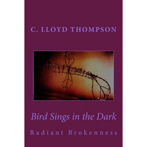 Bird Sings in the Dark: Radiant Brokenness Paperback, Createspace Independent Publishing Platform