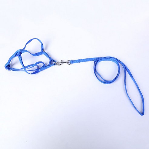 핑크망고 줄무늬컬러 반려동물 몸줄 2cm, A, 1개