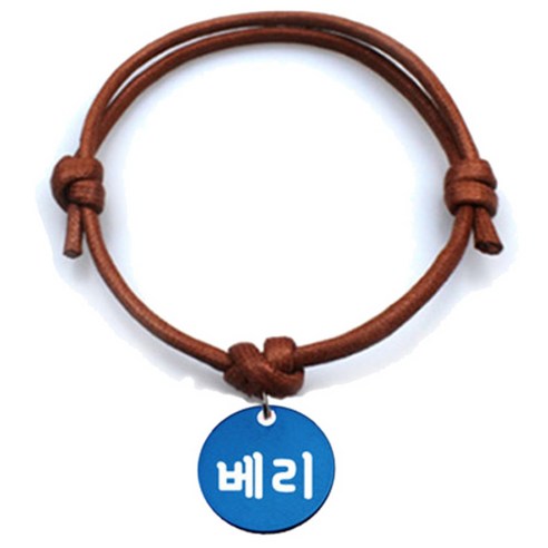 펫츠룩 굿모닝 카라멜 반려동물 목걸이 M + 알미늄원형 팬던트 S, 블루(베리), 1개