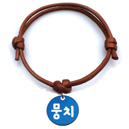 펫츠룩 굿모닝 카라멜 반려동물 목걸이 M + 알미늄원형 팬던트 S, 블루(뭉치), 1개