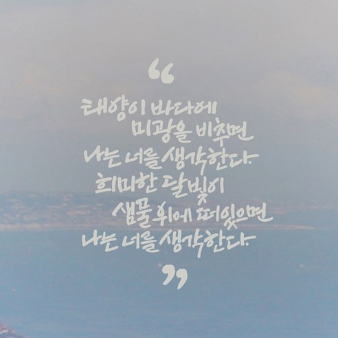 디자인엠 태양이 바다에 캘리그라피 스티커, 라이트 그레이