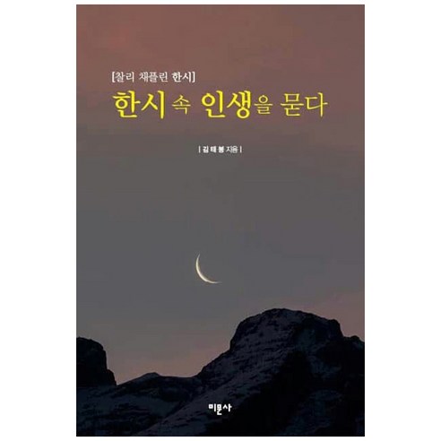 金泰峰 用中國詩歌追問人生 卓別林中國詩歌 Mimoonsa 9791187812043