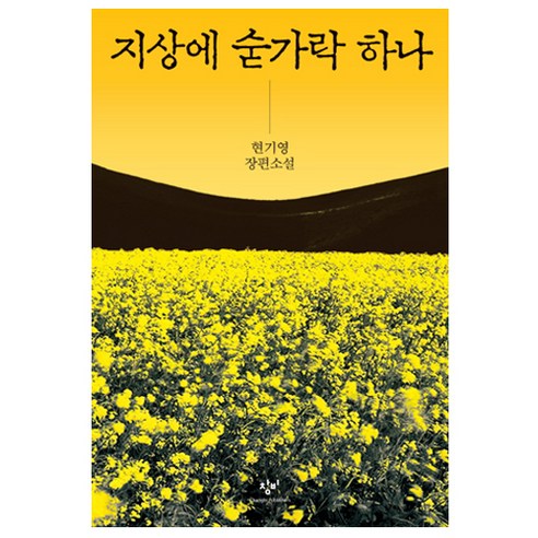 지상에 숟가락 하나:현기영 장편소설, 창비, 현기영 저 차인표소설