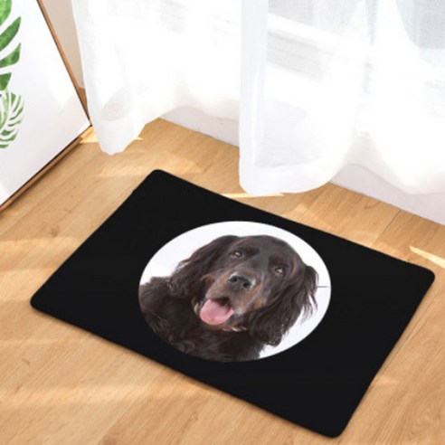 노랜드 Photo dog Style 다용도 발매트, 19