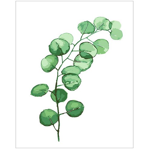아이러브페인팅 보태니컬 DIY 명화그리기 40 x 50 cm, 유칼립투스리프, 1개