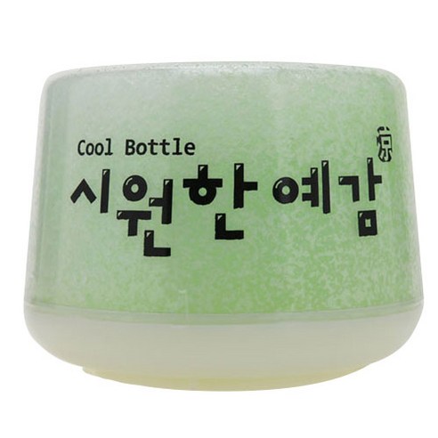 예담 시원한 예감 보냉기, 그린, 1개