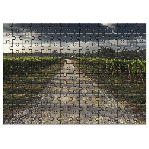 다모아 시험관 직소퍼즐, 150피스, 투스카니도로
