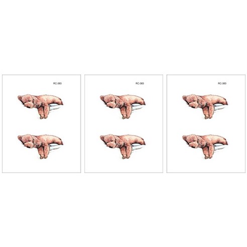 슈퍼식스 파스텔톤 수채화 타투 스티커, RC-383, 3개입