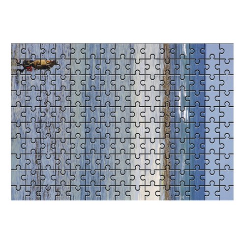 다모아 시험관 직소퍼즐, 150피스, 탄자니아바다와노인