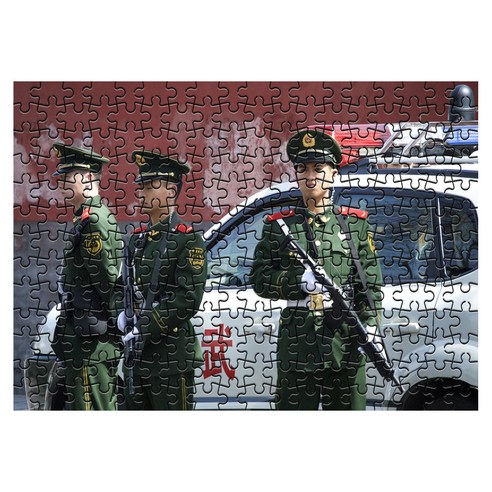 다모아 시험관 직소퍼즐, 234피스, 중국공안