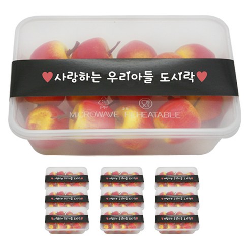 도나앤데코 PP내열 도시락용기 한칸 10p + 띠지스티커 블랙 사랑하는우리아들 도시락 10p, 1세트