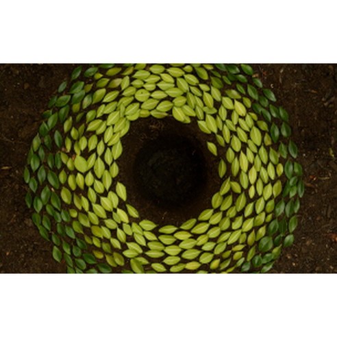 유브이디에스 주방아트보드 나뭇잎으로 만든 원, 1개