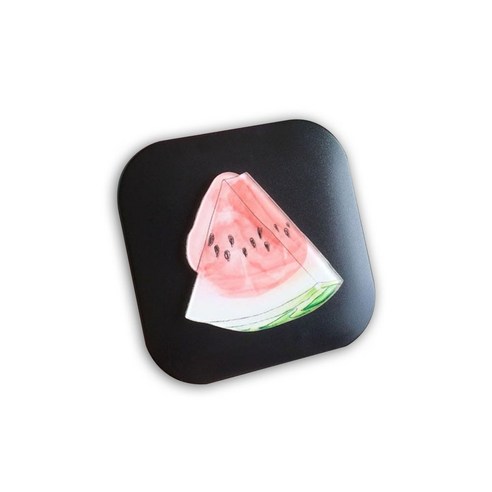 라이프포인트 수박 렌즈케이스, 블랙, 1개