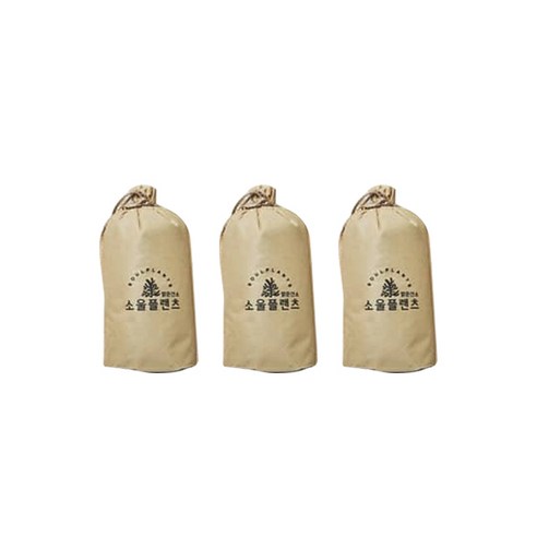 소울플랜츠 코르크 실내탈취제 본품, 10g, 3개입