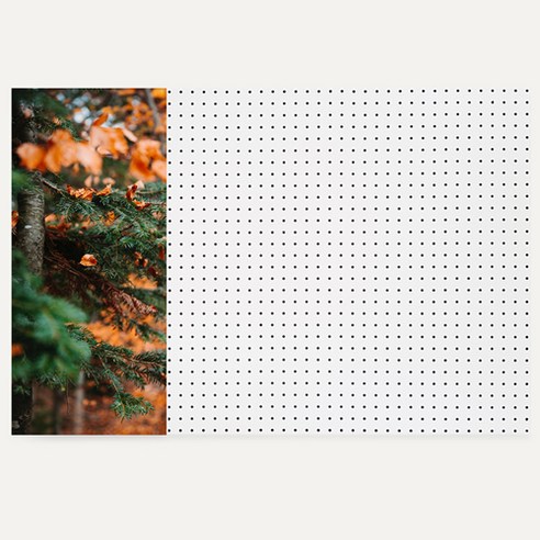 엔비커머스 타공판, 1개, 자연31(WHITE)
