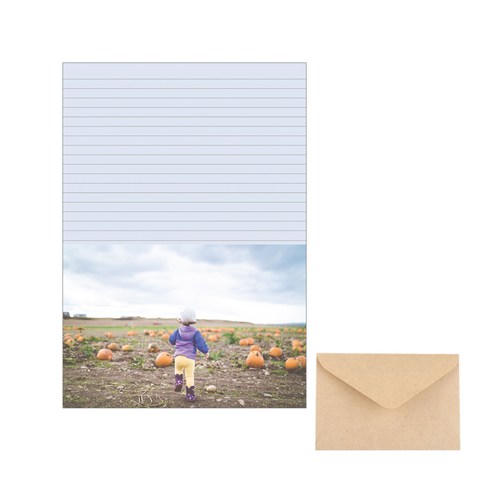 삼육오데이 디자인 편지세트 편지지 20p + 봉투 10p, 호박밭, 1세트