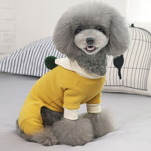 아이앤엘 강아지 고깔 모자 올인원, 그린