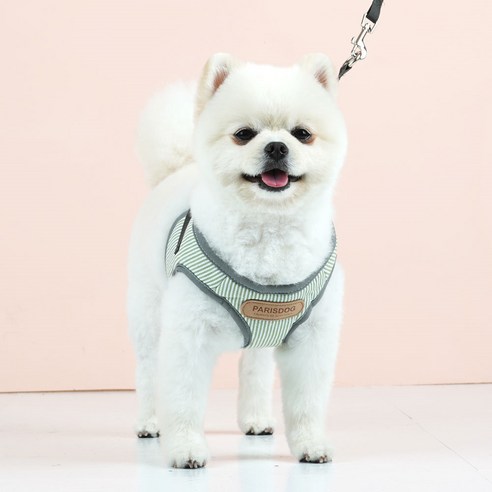 패리스독 프레시 강아지 하네스 + 리드줄 L, 그린, 1세트