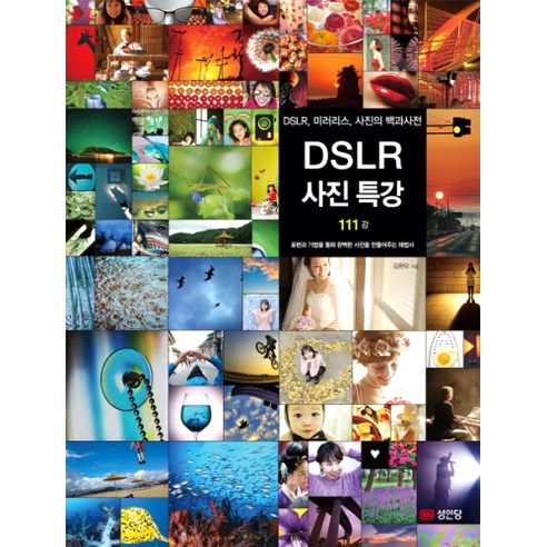 DSLR 사진특강 111강:DSLR 미러리스 사진의 백과사전, 성안당, 김완모 저