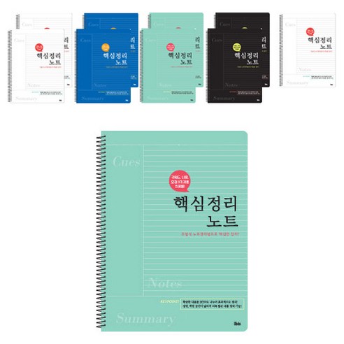 아이비스 핵심정리 노트 SP10885, 랜덤 발송, 10개